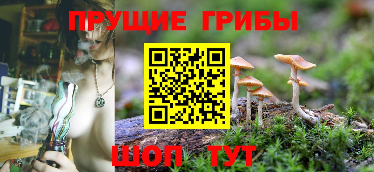 Псилоцибиновые грибы мухоморы Братск